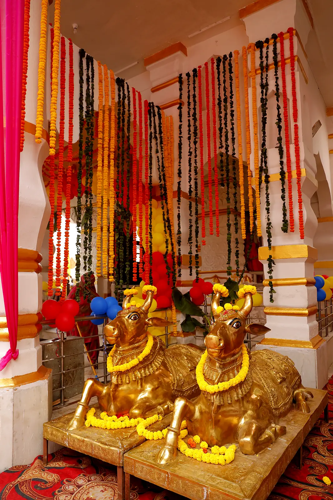 The golden Nandi pair